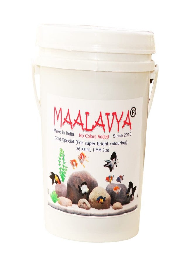 Maalavya Gold Special Aquarium Fish Food Pellet Small 1 MM Fish Feed (Good Fish Food for Aquarium 36 Karat) Fast Growth 1 Kg Fish Aquarium Food Fish Pellet Fish Food Feed - Image 2